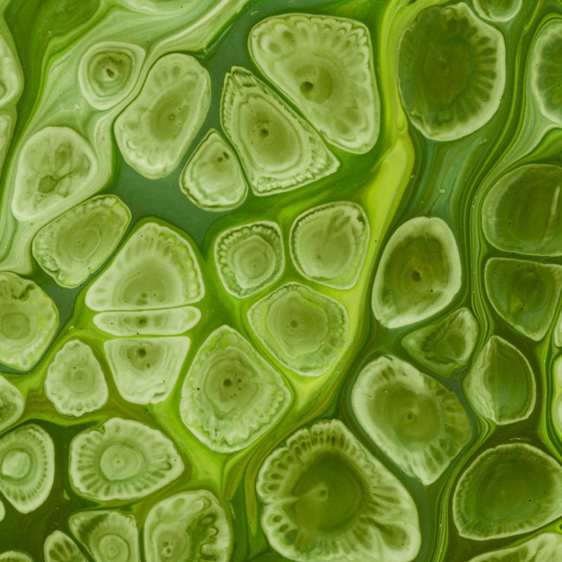 Probiotiques